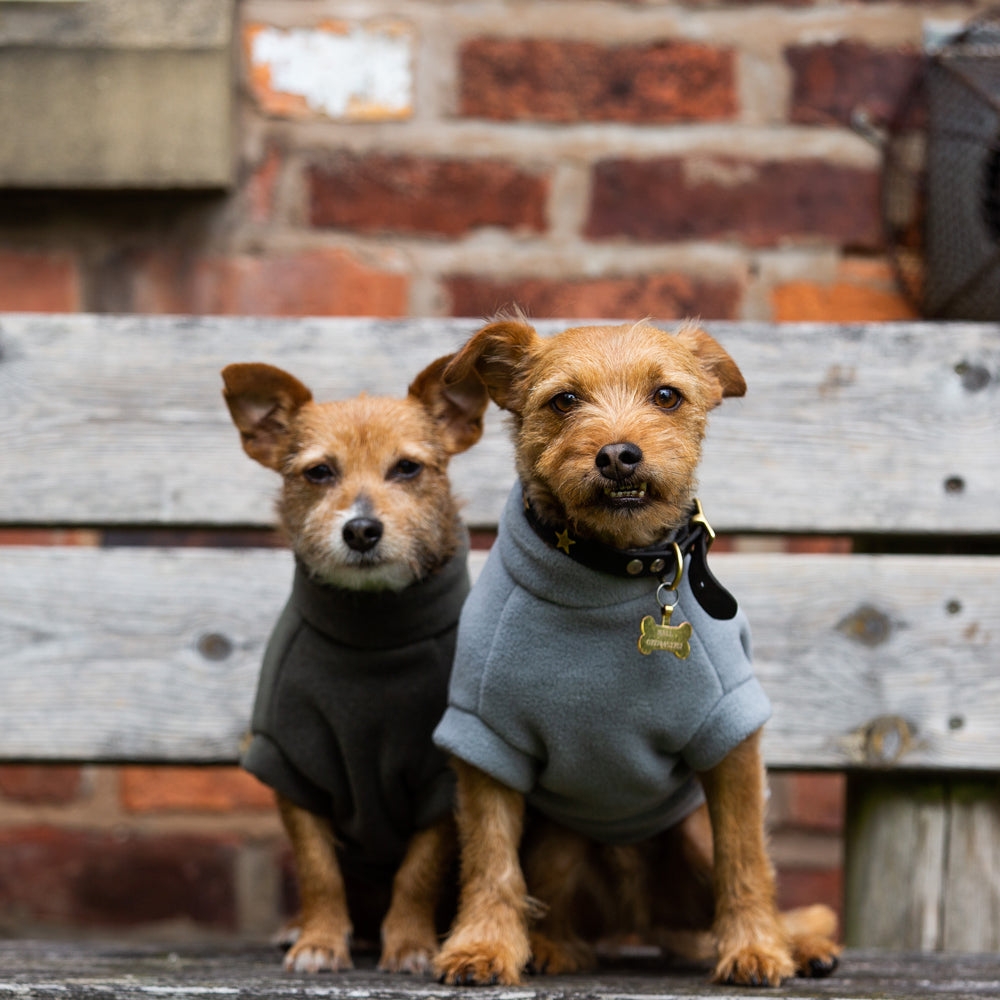 Dog Coats for Jack Russells – Dog Coats by Stix and Co. L – Charcoal – Yellow