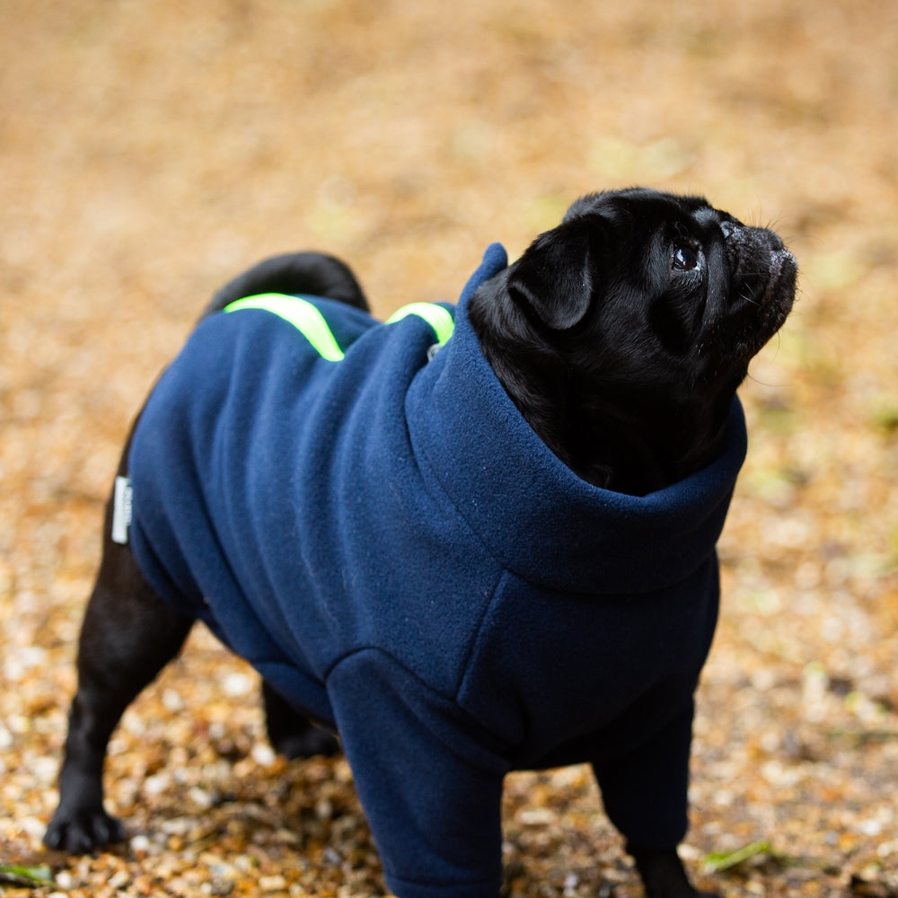 Dog Coats for Pugs – Dog Coats by Stix and Co. M – Charcoal – Pink