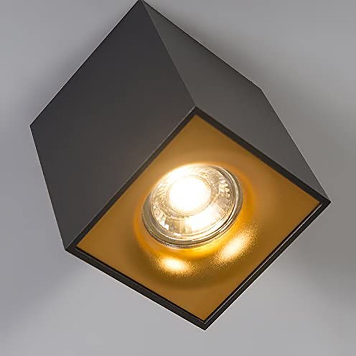 Black Or White Square Single Spotlight With Gold Reflector Black – By CGC Interiors