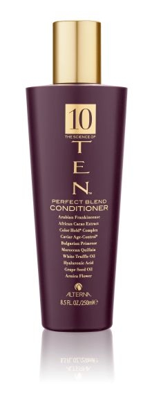 Alterna Science of Ten Perfect Blend Conditioner 250ml