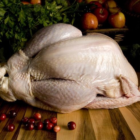 BRONZE Whole : John Howe Free Range Kentish Turkeys – (L4) Serves 6 (4Kg-4.5Kg)