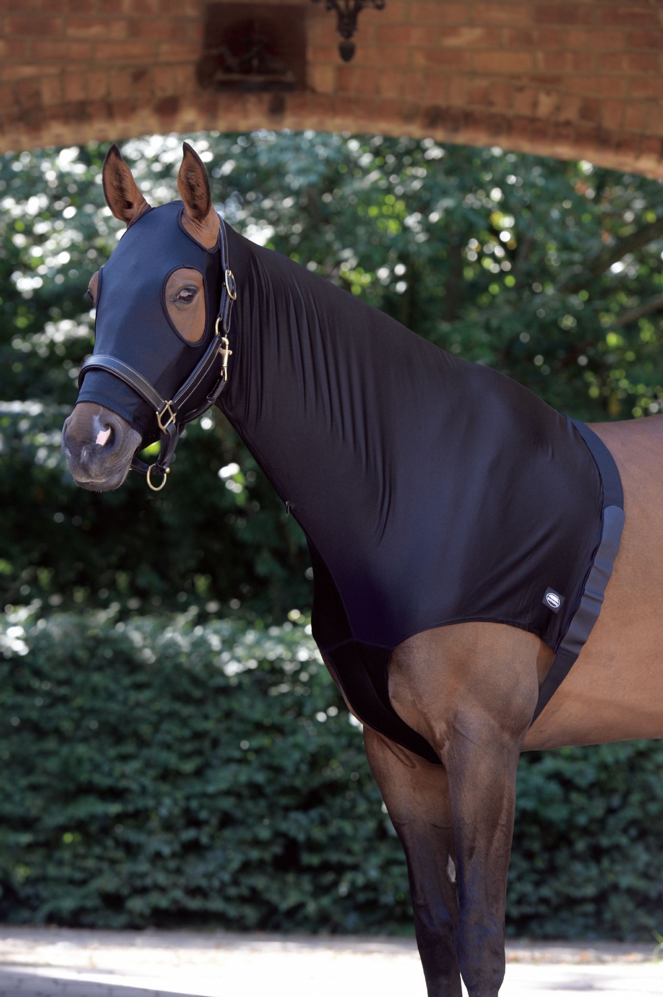 Weatherbeeta Stretch Hood with Zip – Black – Cob – Hoods – Saddlemasters Equestrian