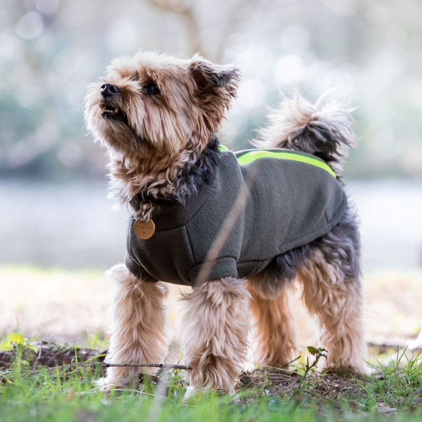Yorkshire Terrier Dog Coat M – Burgundy – Pink – Stix & Co