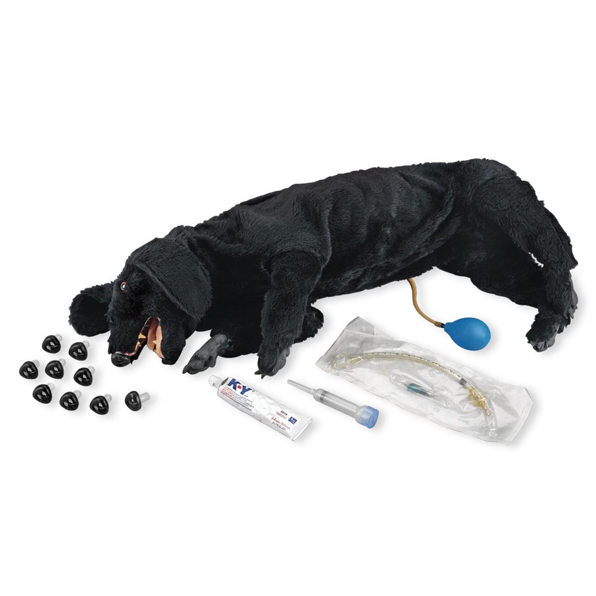 Basic Sanitary CPR Dog – CasPeR The CPR Dog Manikin – Medical Teaching Equipment – Simulaids