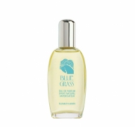 Elizabeth Arden Blue Grass Eau de Parfum 100ml – Perfume Essence