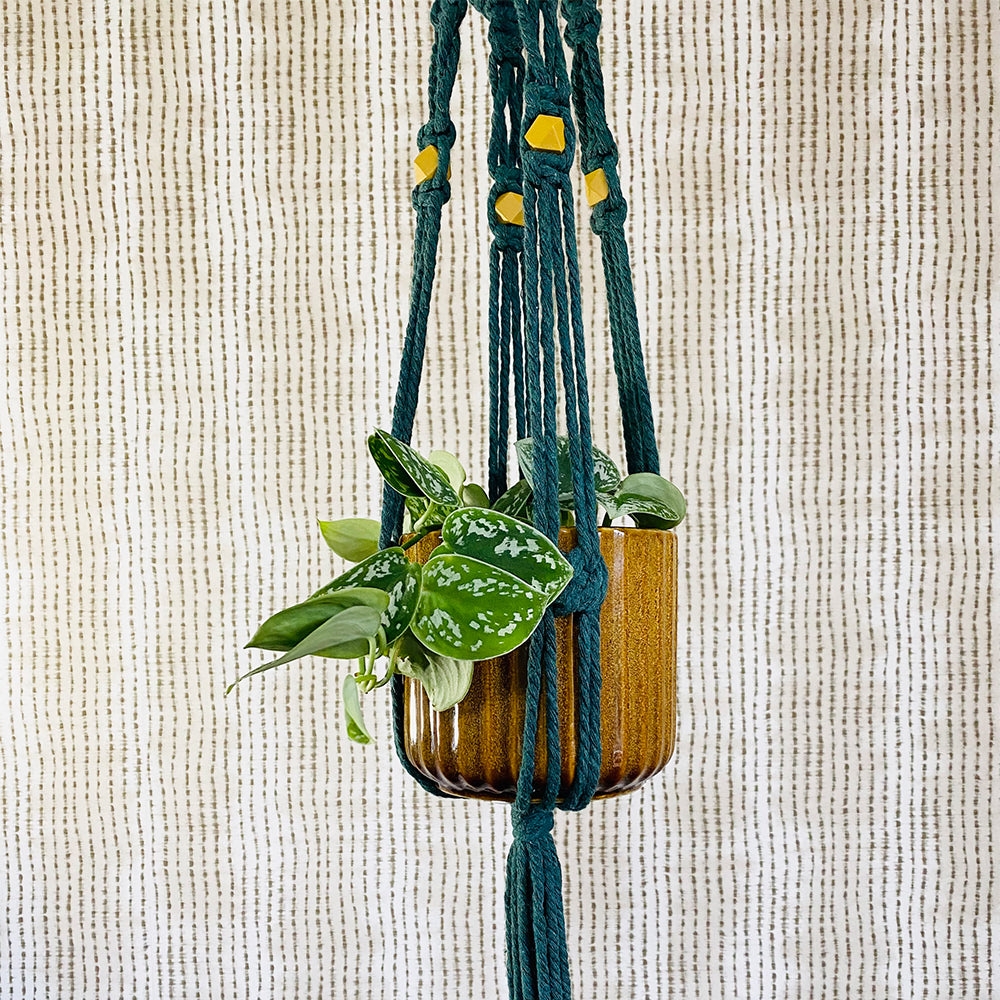 Macrame Green Plant Hanger With Yellow Beads | The Design Yard