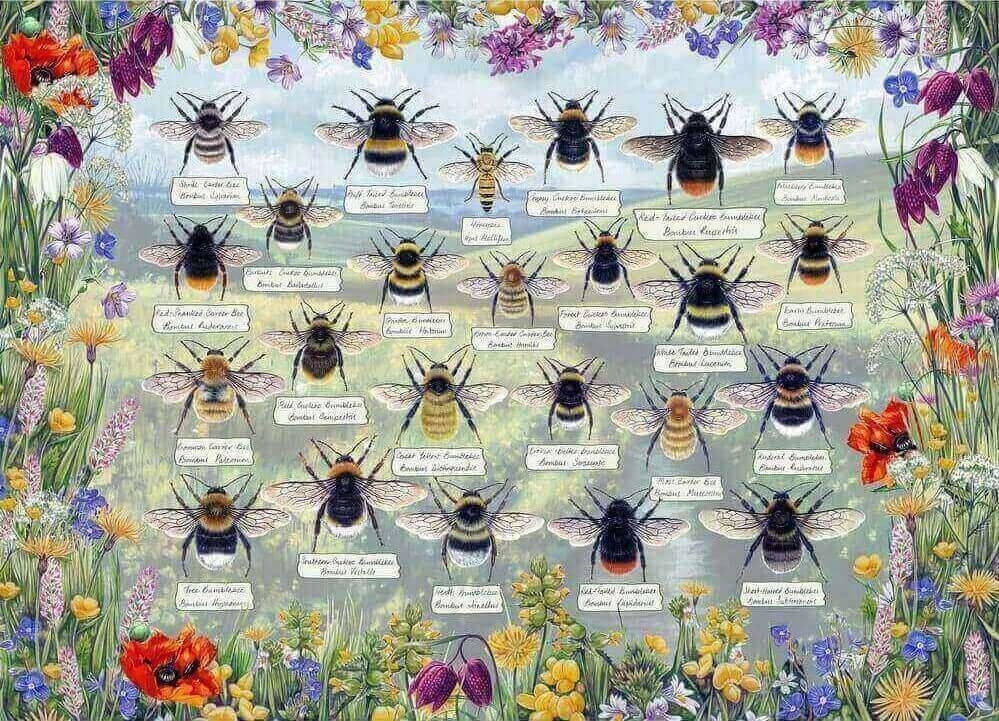 Jigsaw Puzzle Brilliant Bees – 1000 Pieces – Gibsons – The Yorkshire Jigsaw Store