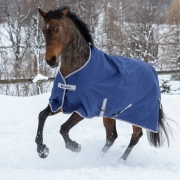 Bucas Freedom 150g Mediumweight Turnout Rug – Pony – Navy/Silver – 4’6″ – Saddlemasters Equestrian