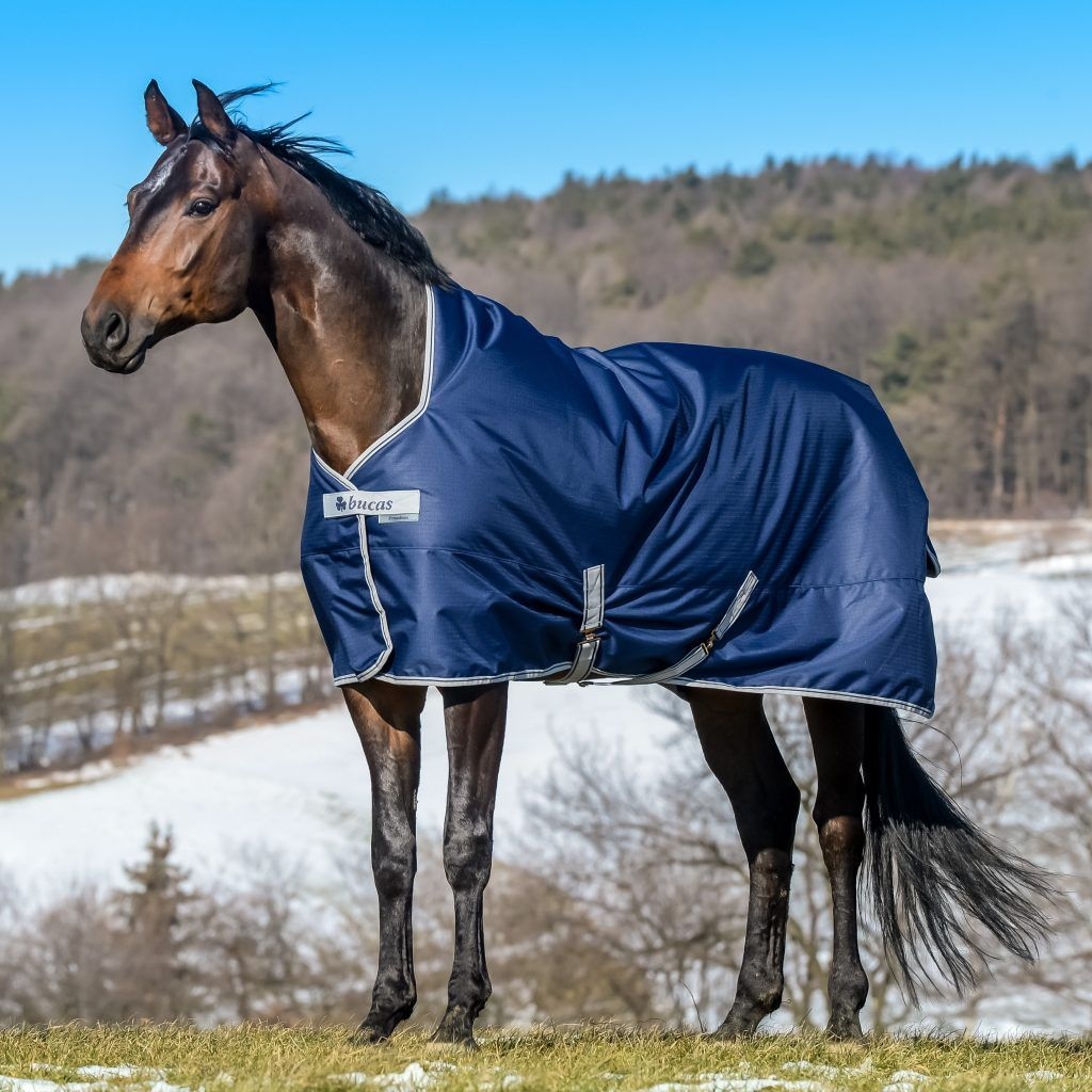 Bucas Freedom 300g Heavyweight High Neck Turnout Rug – 7.0″ – Saddlemasters Equestrian