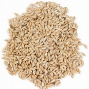 Vine House Farm – Canary Seed-13Kg – Wild Bird Food