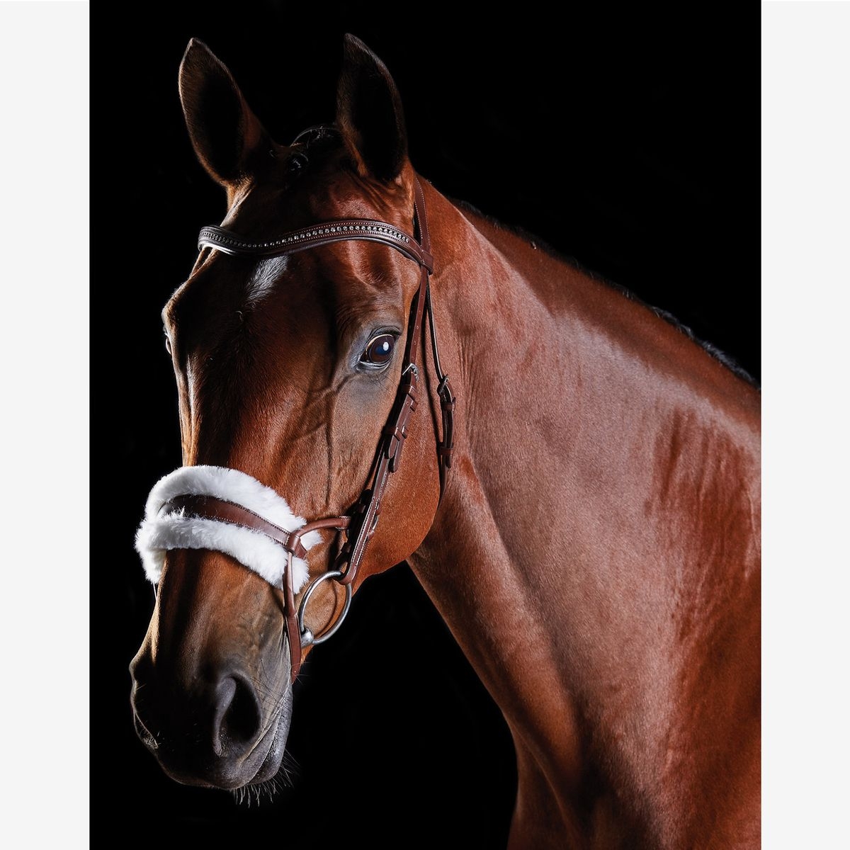 Collegiate Comfitec Sheepskin Bridle – BROWN – WARMBLOOD – Leather – Saddlemasters Equestrian
