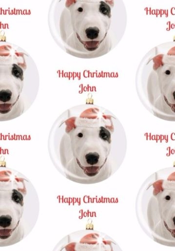 English Bull Terrier In Santa Hat Christmas Wrapping Paper