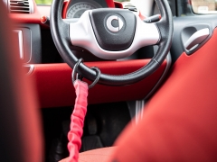 Flec Steering Wheel To Seat Belt Lock – Bee Safe UK