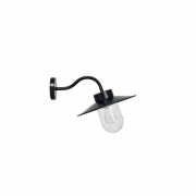 Garden Trading Swan Neck Outdoor Wall Light in Carbon