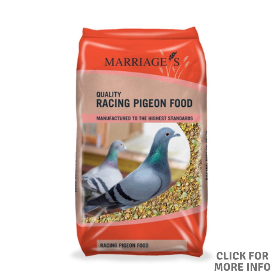 Marriages Racing Pigeon Moulting Mix 20 Kg – Fur2Feather Pet Supplies