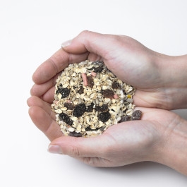 Vine House Farm – Ground Mix-4kg – Wild Bird Food