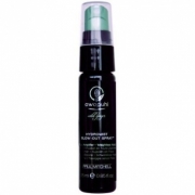 Paul Mitchell Awapuhi Wild Ginger Hydromist Blow Out Spray 25ml