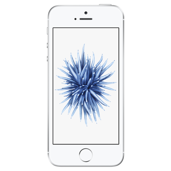 Apple iPhone SE (2016) Pre-Owned | 32GB | Silver , Creative IT
