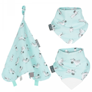 Cheeky Chompers Zebra Dreams Organic Little Box of Cheekiness – Aqua