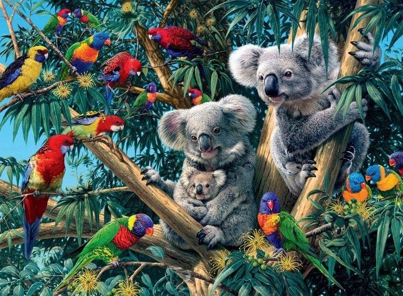 Jigsaw Puzzle Koalas in a tree – 500 Pieces – Ravensburger – The Yorkshire Jigsaw Store