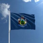 Maine Nylon Outdoor Flag, 4′ x 6′ – Government Flag Supplier – Action Flag