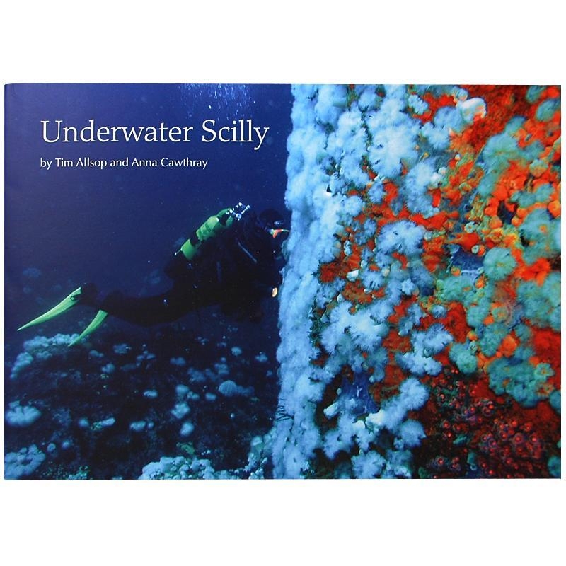 Underwater Scilly By Tim Allsop & Anna Cawthray