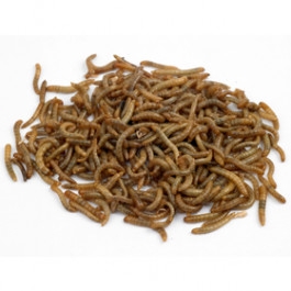Vine House Farm – Mini Mealworms-6 x 40g – Wild Bird Food