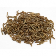 Vine House Farm – Live Mealworms-3 x 40g tub – Wild Bird Food