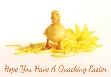 Personalised Photographic Yellow Duckling Easter Card
