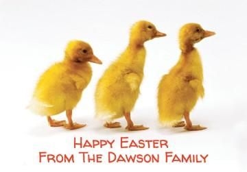 Personalised Three Ducklings Photographic Easter Card