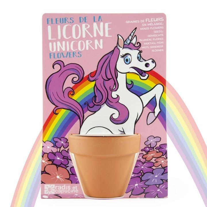 Growing Kit : Unicorn – Mixed Flowers – Children’s Learning & Vocational Sensory Toys For Children Aged 0-8 Years – Summer Toys/ Outdoor Toys