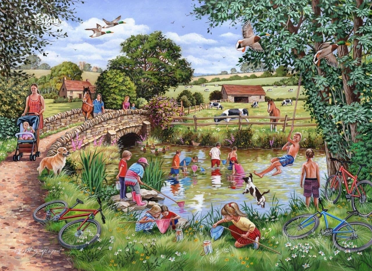 Jigsaw Puzzle Pond Dippers – 1000 Pieces – House of Puzzles – The Yorkshire Jigsaw Store