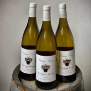 Pouilly-Fume 2021 Chateau Favray, Loire – 1 – Mr Duck