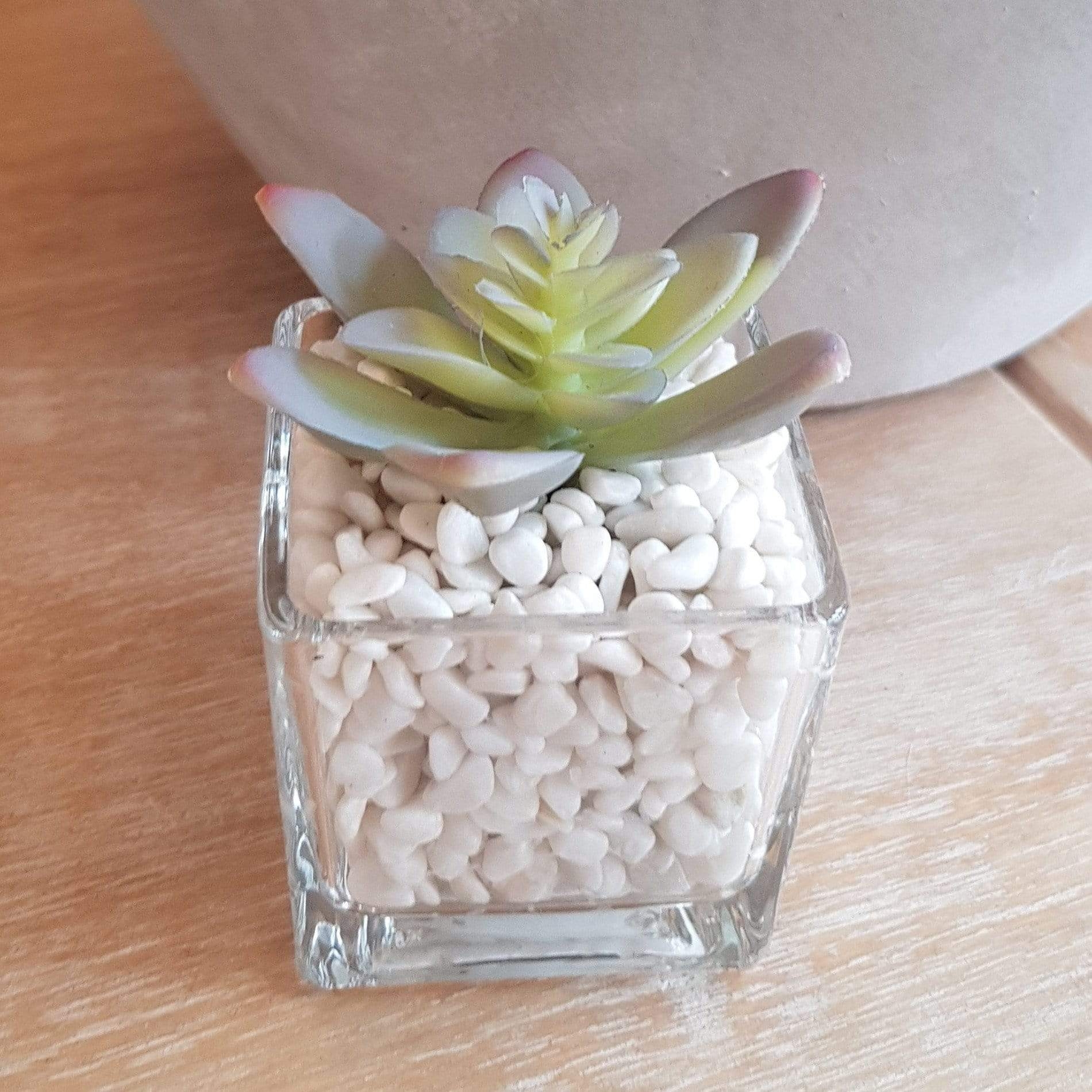 Miniature Glass with White Stones and Green Artificial Succulent