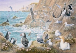 Jigsaw Puzzle Sea Breeze – 1000 Pieces – House of Puzzles – The Yorkshire Jigsaw Store