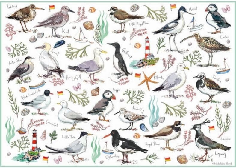 Jigsaw Puzzle Seabirds – 500 Pieces – Otter House – The Yorkshire Jigsaw Store