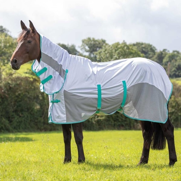 Shires Tempest Original Fly Mesh Combo Rug – TC Feeds & Tack Haven