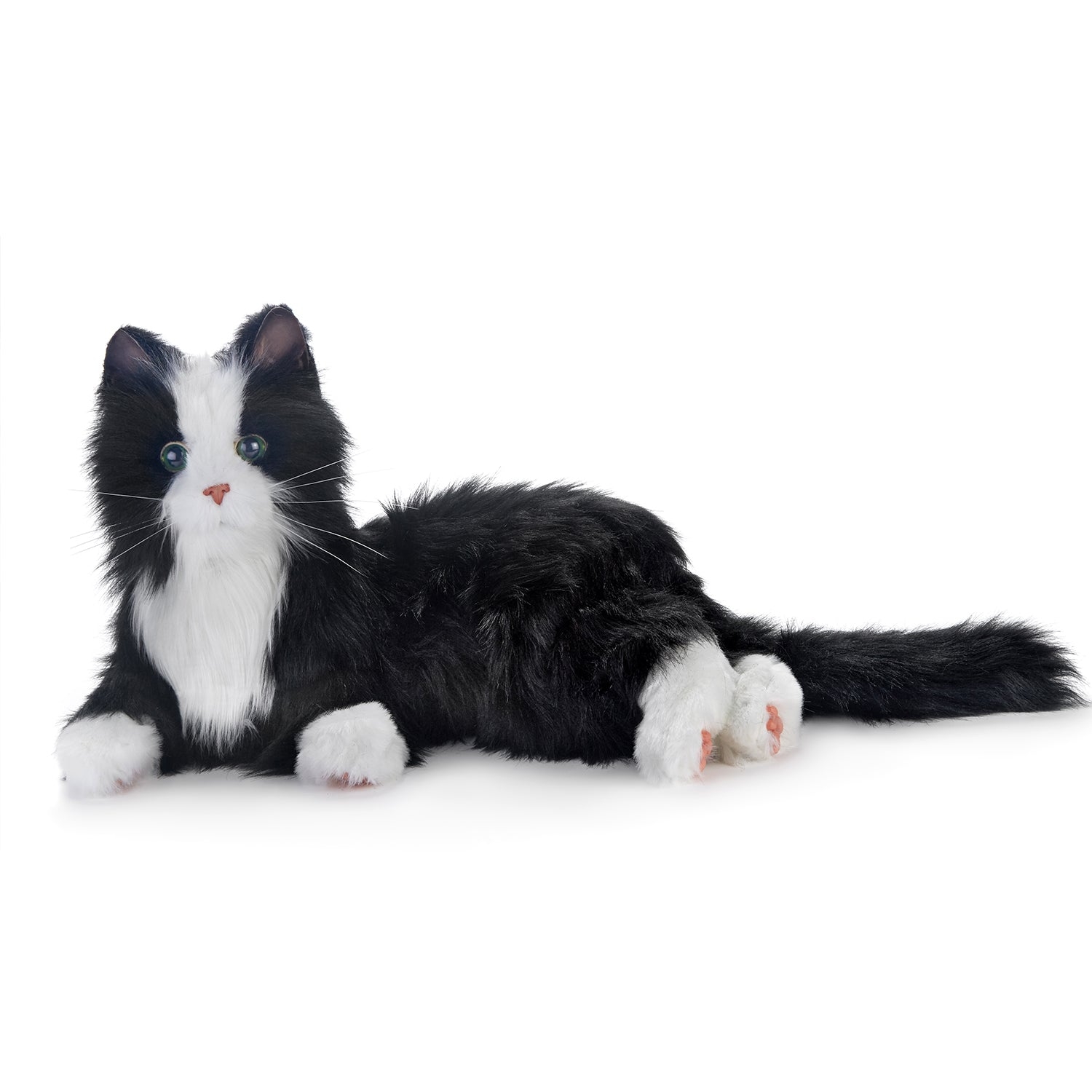 Black And White Cat – Robotic Companion – Activity & Sensory Items – Ageless Innovation – Story And Sons