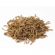 Vine House Farm – Dried Mealworms-100g pouch – Wild Bird Food