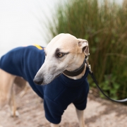 Dog Coats for Whippets – Dog Coats by Stix and Co. XS – Charcoal – Yellow