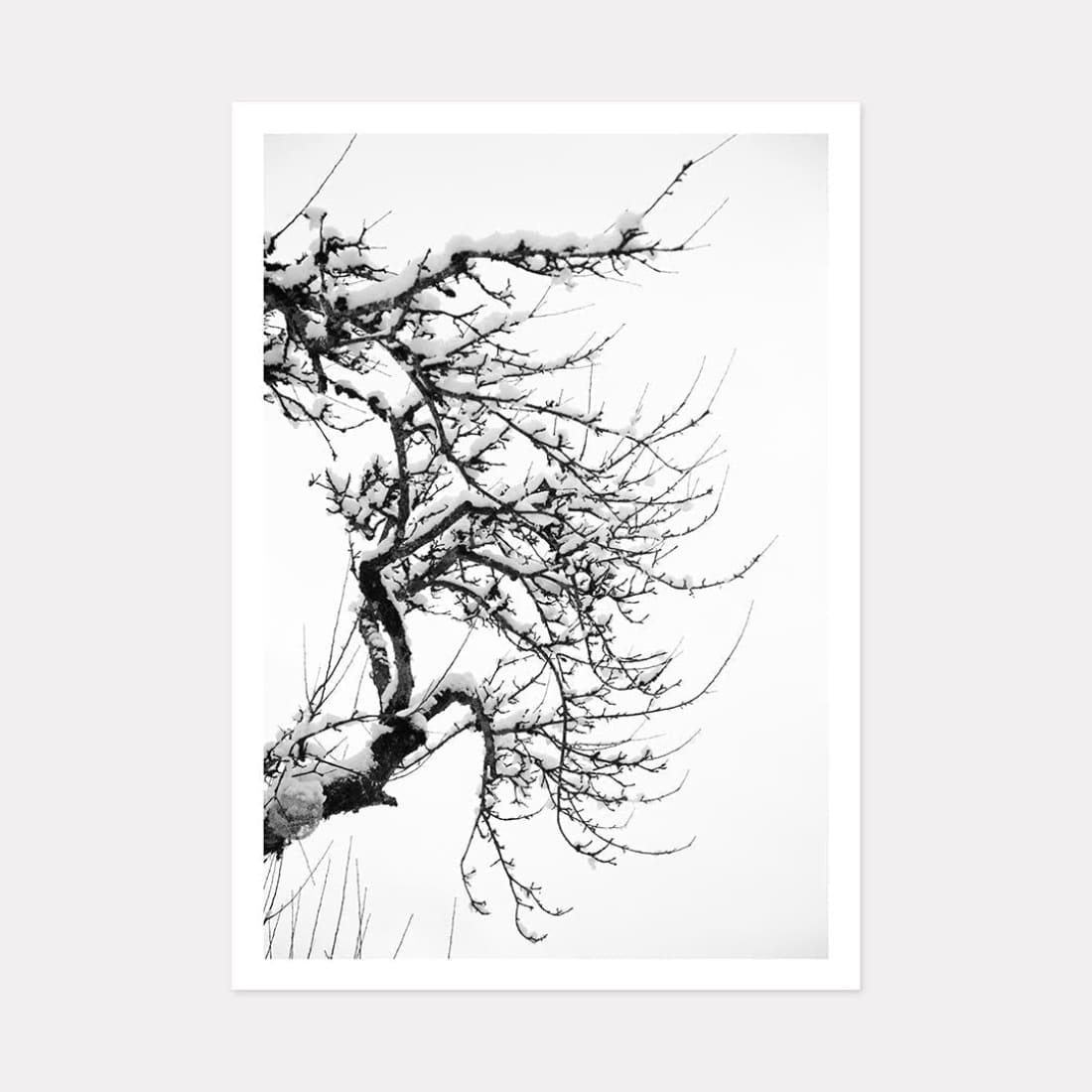 Winter Snow Art Print, A3 (42cm x 29.7cm) unframed print – Powderhound