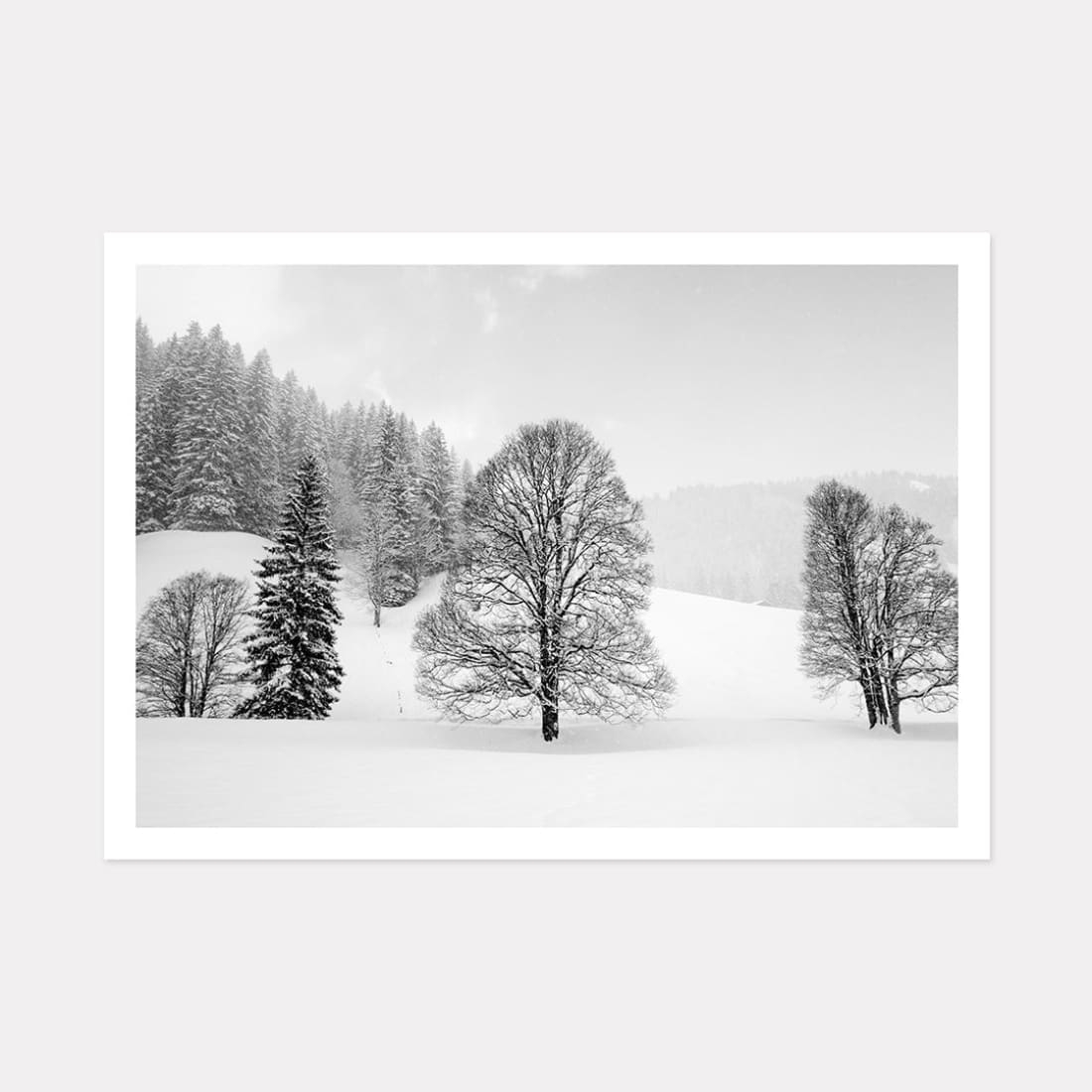 Winter Trees Art Print, A2 (59.4cm x 42cm) unframed print – Powderhound